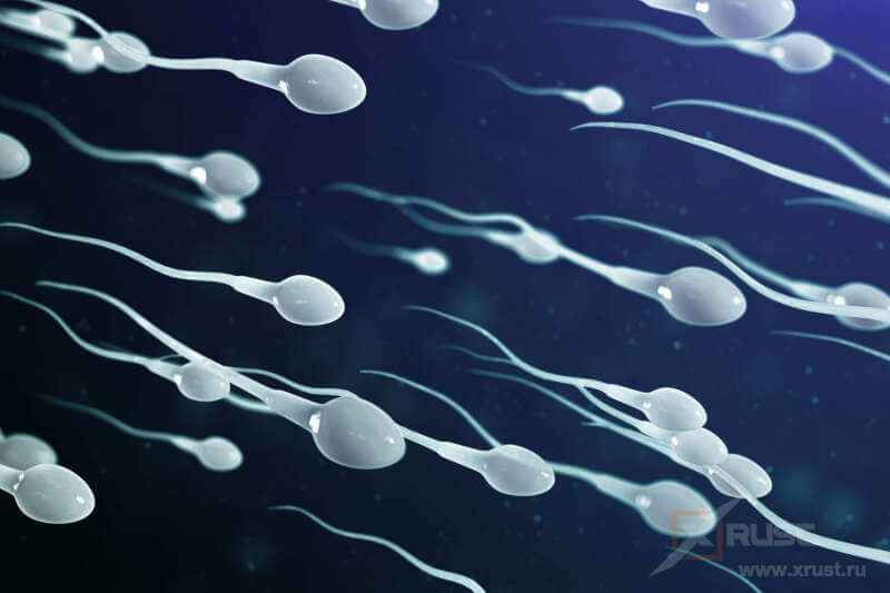 Как  улучшить качество спермы